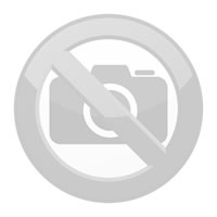 Flir DM 285